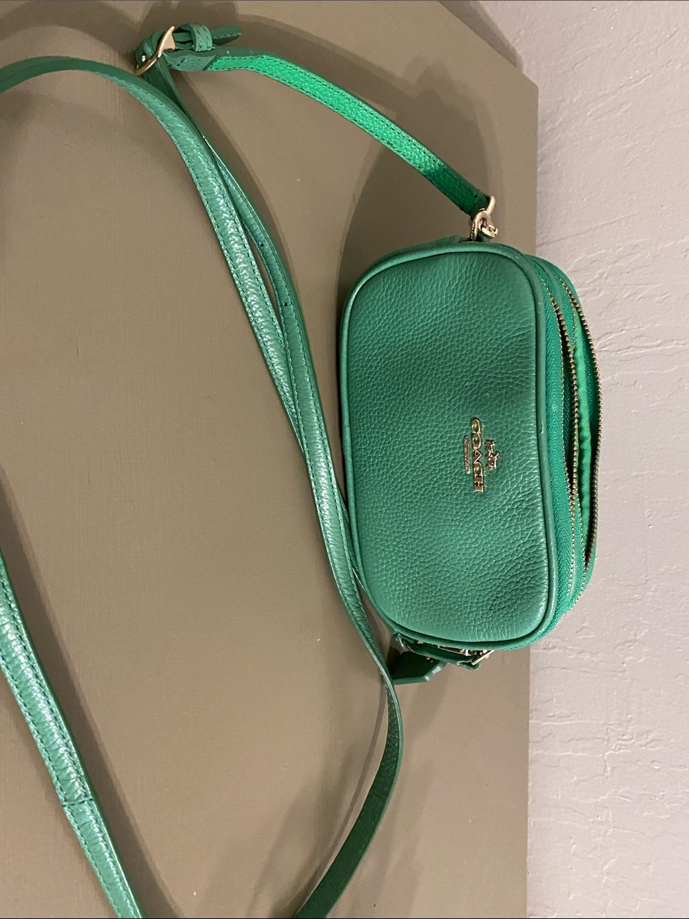 Coach Green Pebble Leather Crossbody Camera Bag